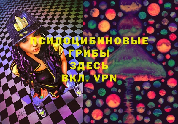 ПСИЛОЦИБИНОВЫЕ ГРИБЫ Абдулино