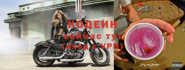 альфа пвп Медвежьегорск