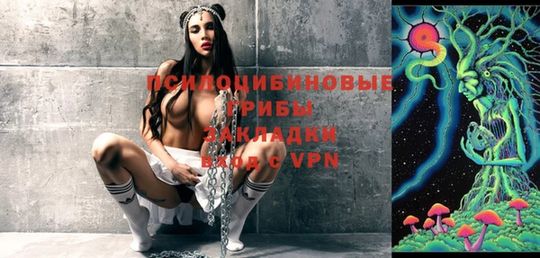 ПСИЛОЦИБИНОВЫЕ ГРИБЫ Абдулино
