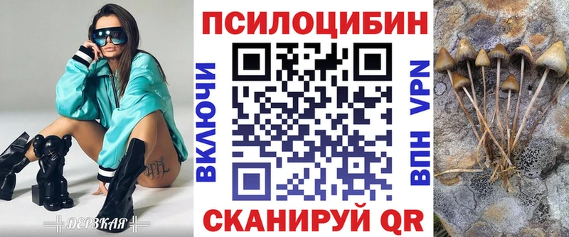 Галлюциногенные грибы Cubensis  маркетплейс официальный сайт  Старая Русса  купить  