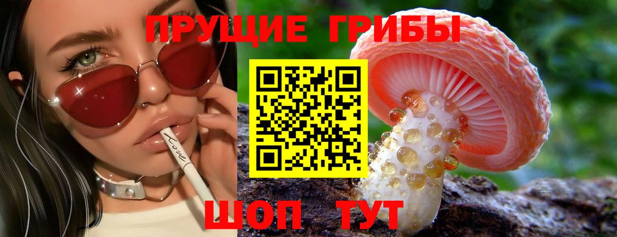 хочу   Вход с VPN  Галлюциногенные грибы прущие грибы  Старая Русса  Псилоцибиновые грибы MAGIC MUSHROOMS 